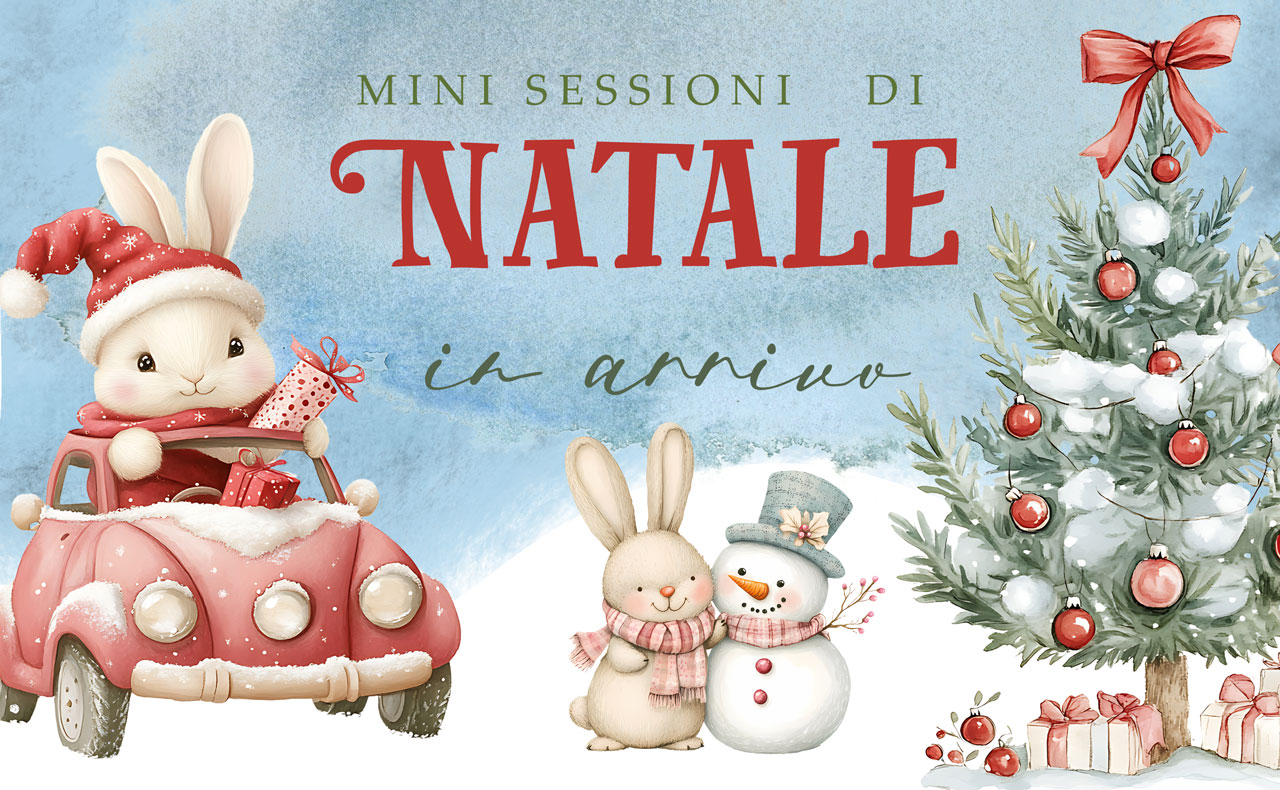 Banner - servizio fotografico di Natale