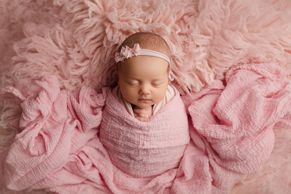 neonata fasciata in rosa