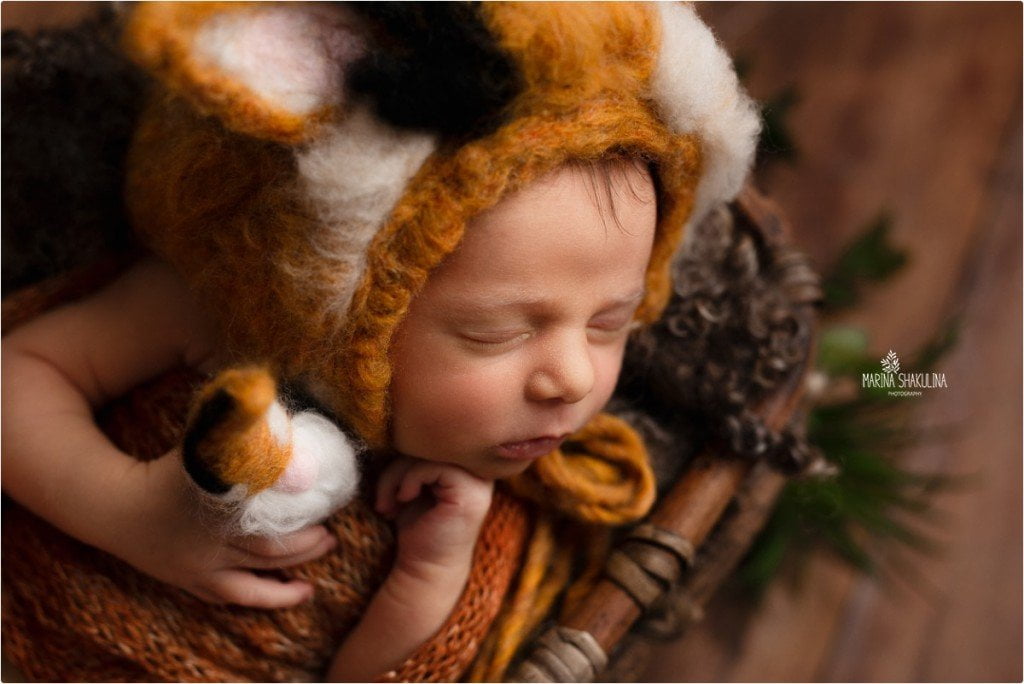 set fotografico newborn - sono un tenero animaletto peloso